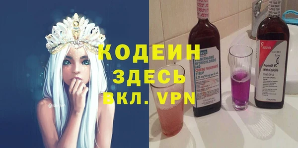хмурый Арсеньев