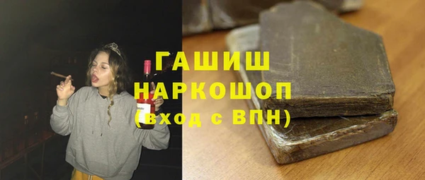 хмурый Арсеньев