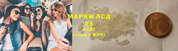 хмурый Арсеньев