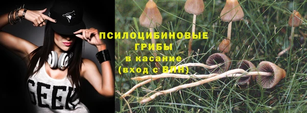 эйфоретик Алексин