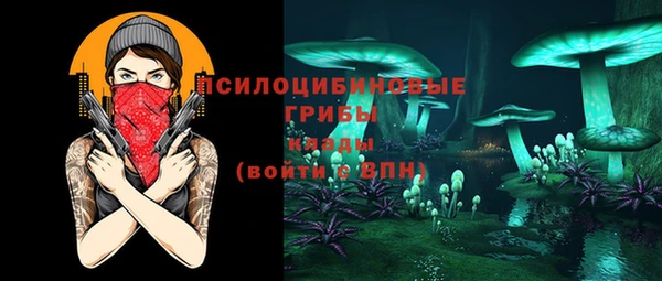 хмурый Арсеньев