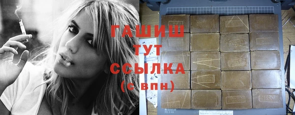 хмурый Арсеньев